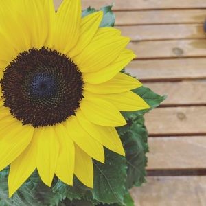 Meet your Posher, Cheryl